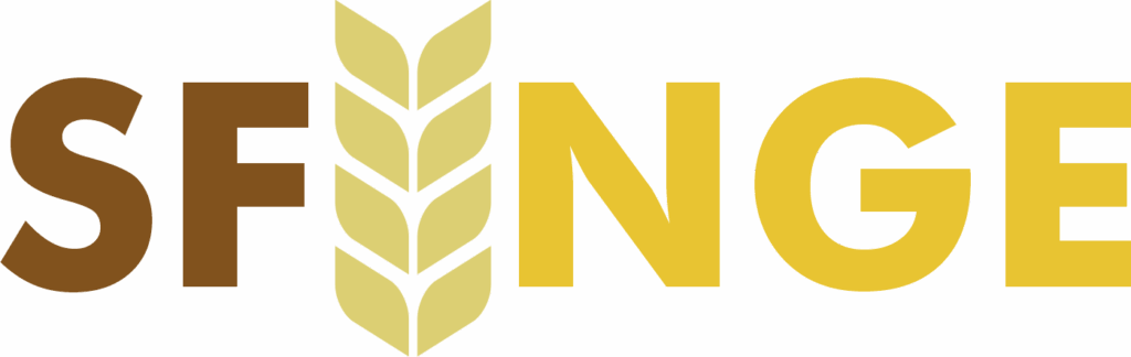 Logo Progetto Sfinge